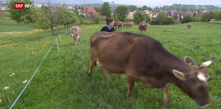 FOKUS: Milch zu besseren Preisen vermarkten