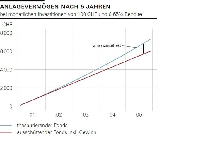 Anlagevermögen nach 5 Jahren